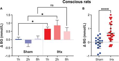 Pentobarbital Anesthesia Suppresses the Glucose Response to Acute Intermittent Hypoxia in Rat